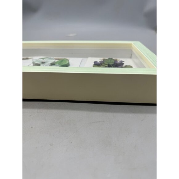 shadow box Framed 3D Botanical Prints Of Provincial Flowers green rectangle READ - Picture 13 of 16